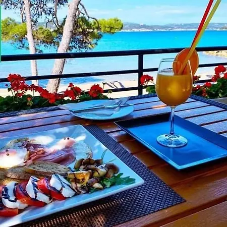 Mobile Blue Lagoon 785